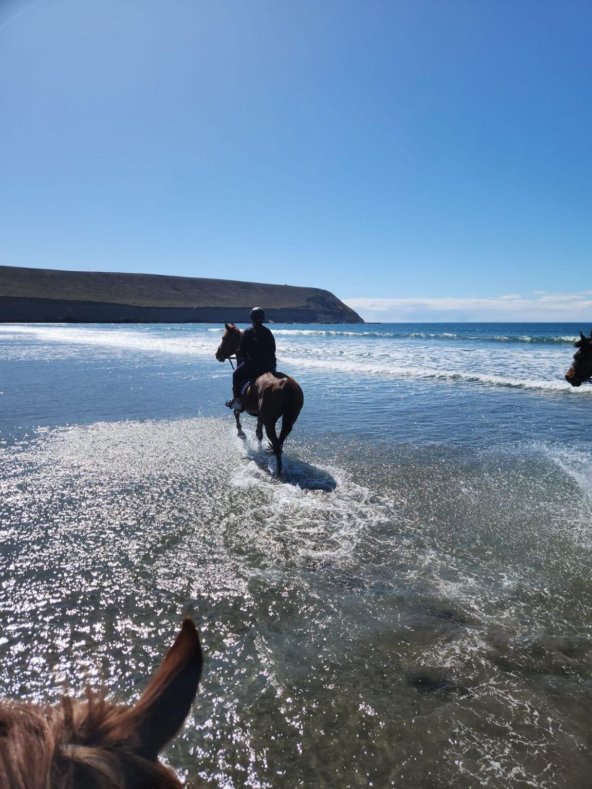 Cabalgata costa 1