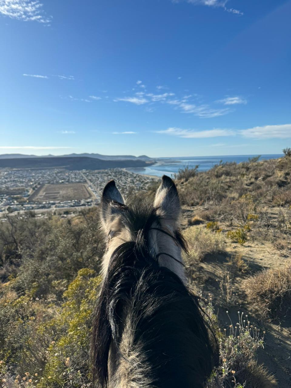 Cabalgata costa 3