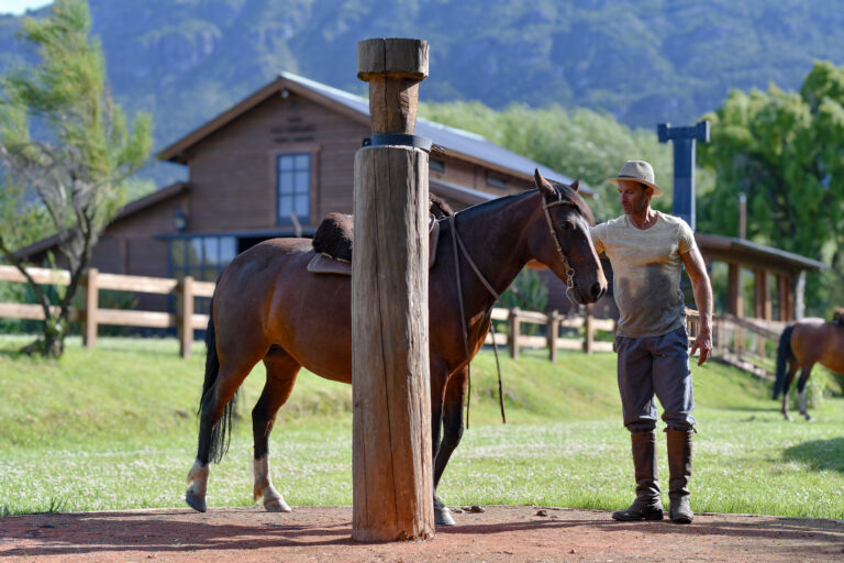 Fer caballo cabaña atras